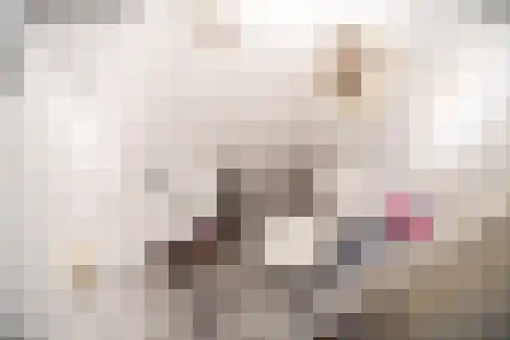 Paganinidreef 77 Voorschoten thumbnail 35