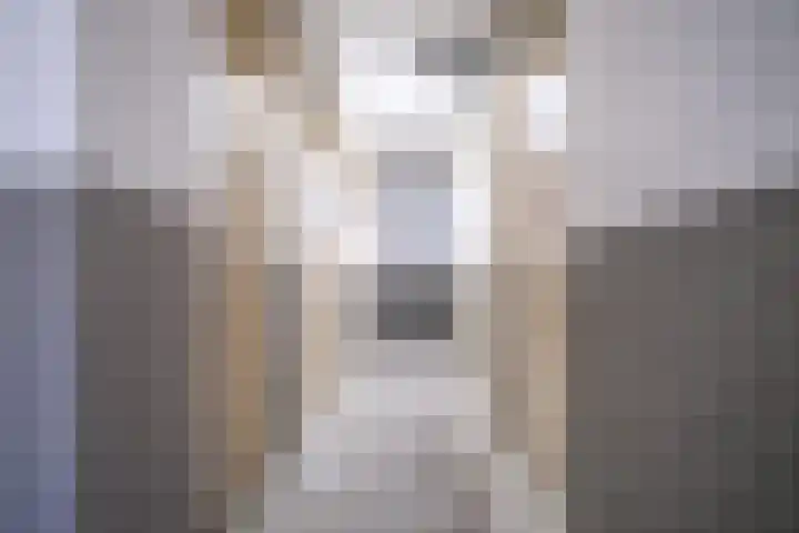 Paganinidreef 77 Voorschoten thumbnail 36