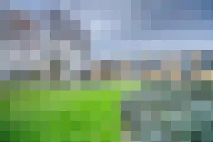 Paganinidreef 77 Voorschoten thumbnail 39