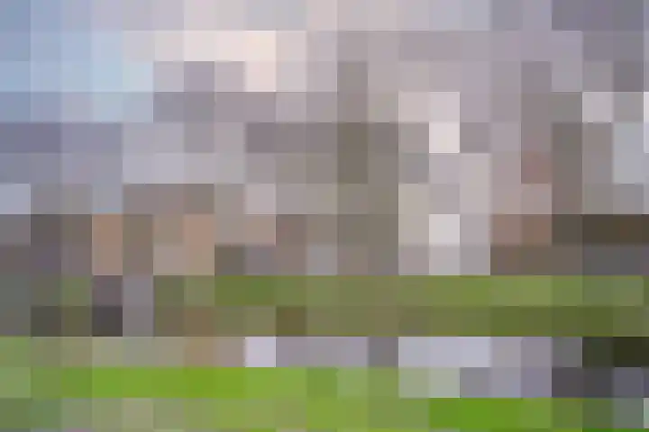 Paganinidreef 77 Voorschoten thumbnail 41