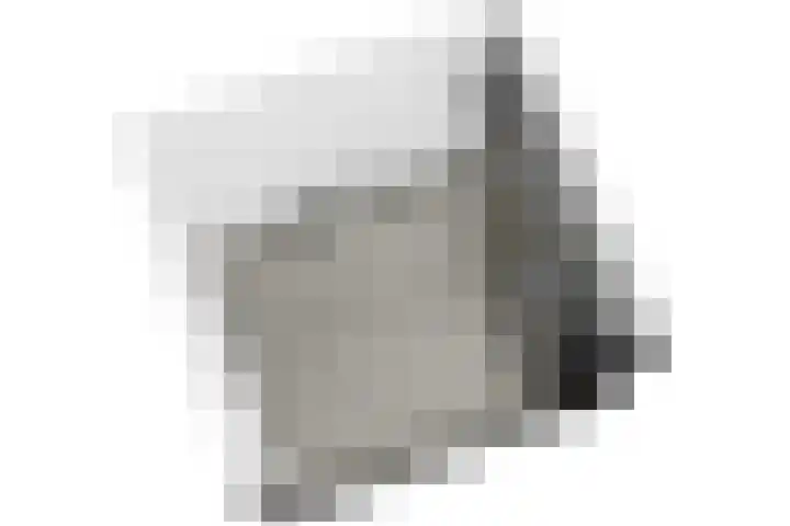 Paganinidreef 77 Voorschoten thumbnail 45