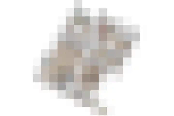 Paganinidreef 77 Voorschoten thumbnail 47