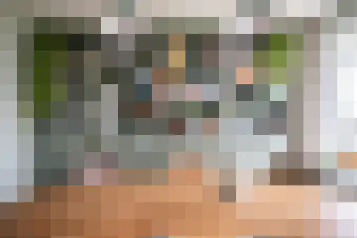 Paganinidreef 77 Voorschoten thumbnail 5