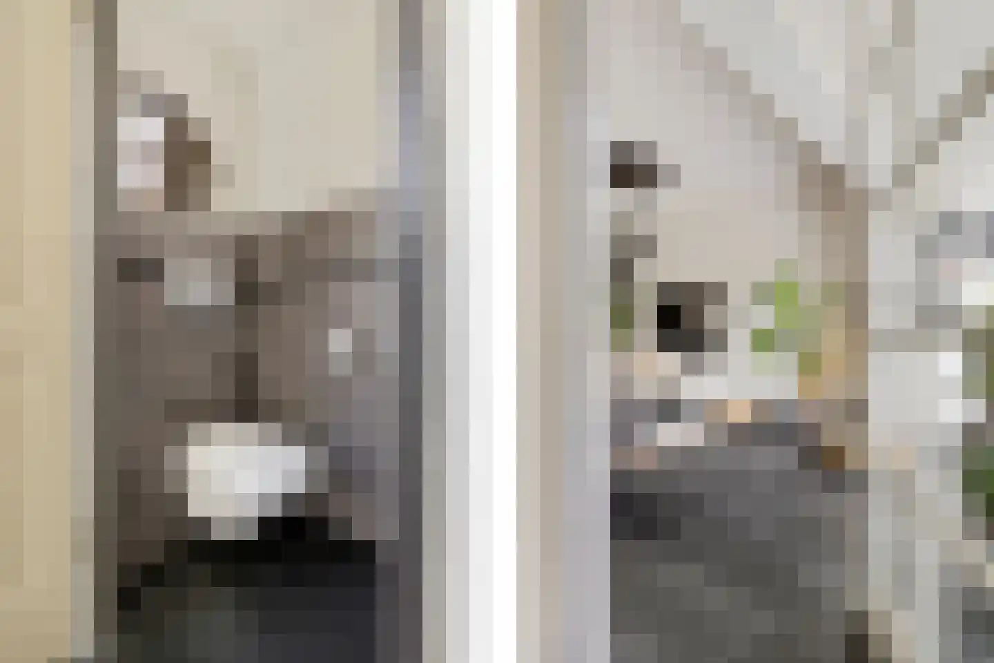 Paganinihof 14 Tilburg thumbnail 14