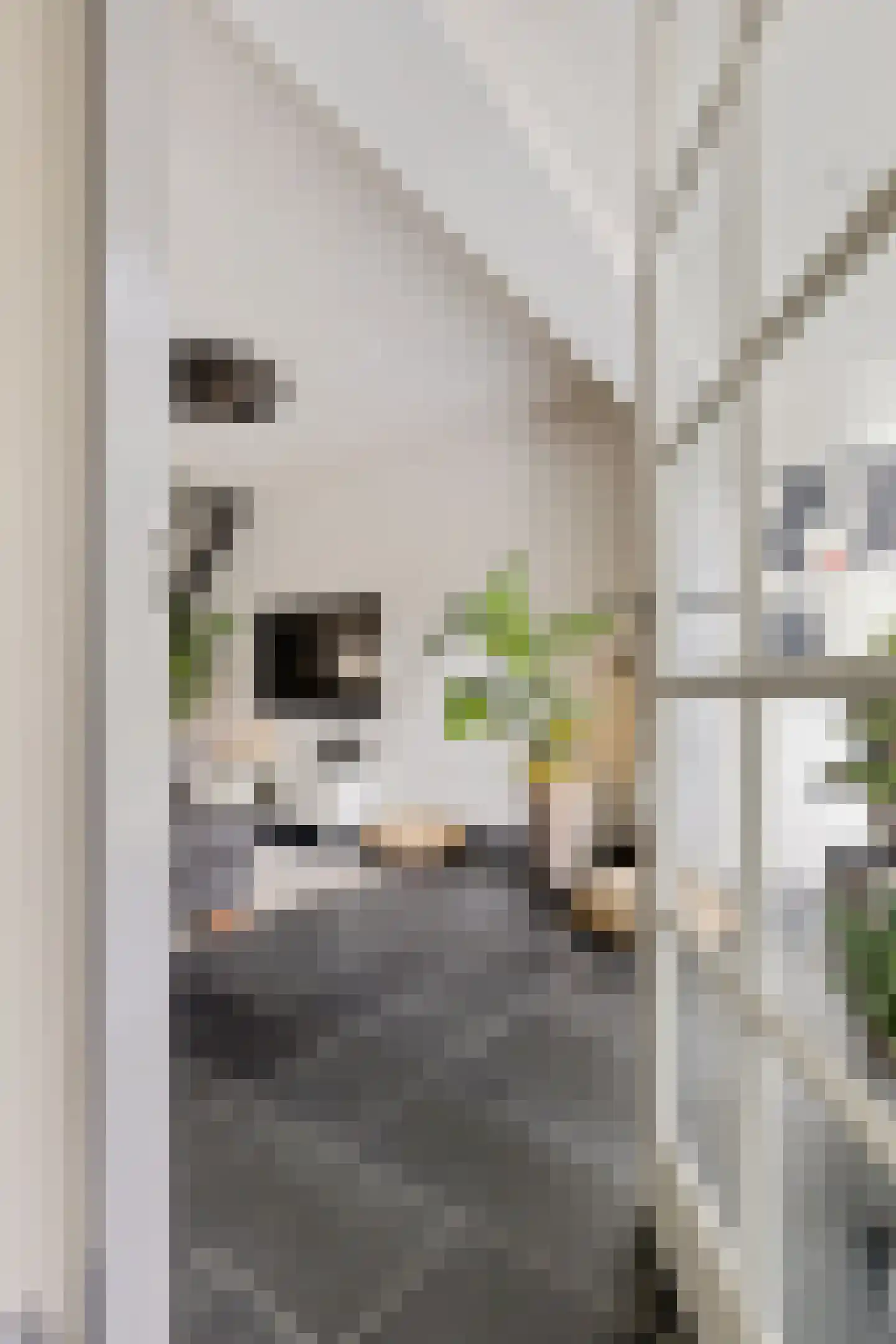 Paganinihof 14 Tilburg thumbnail 16