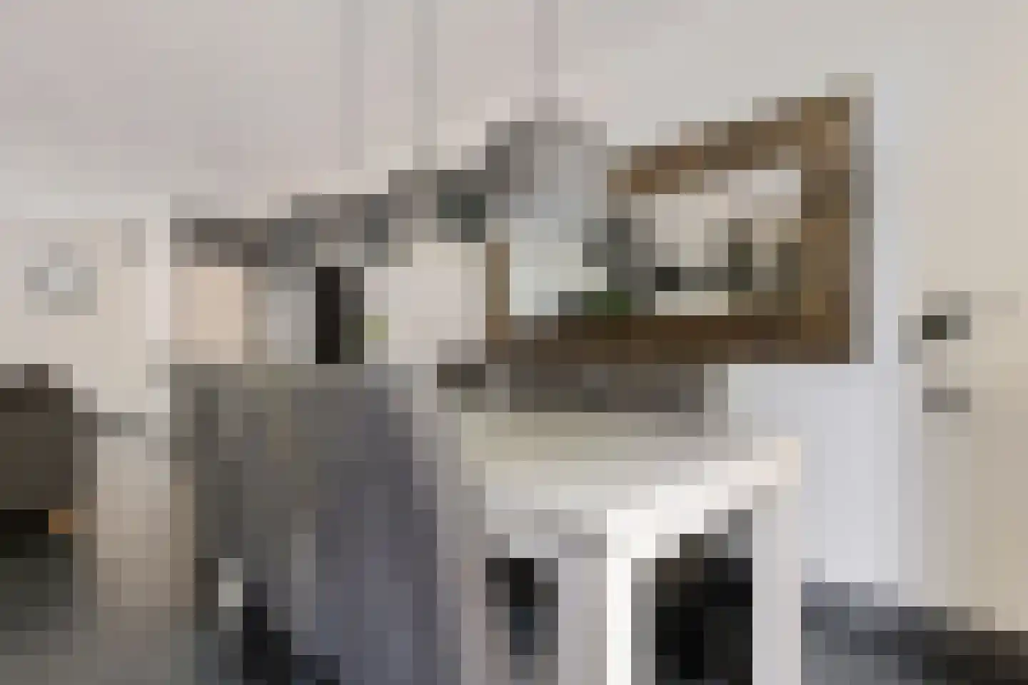 Paganinihof 14 Tilburg thumbnail 17