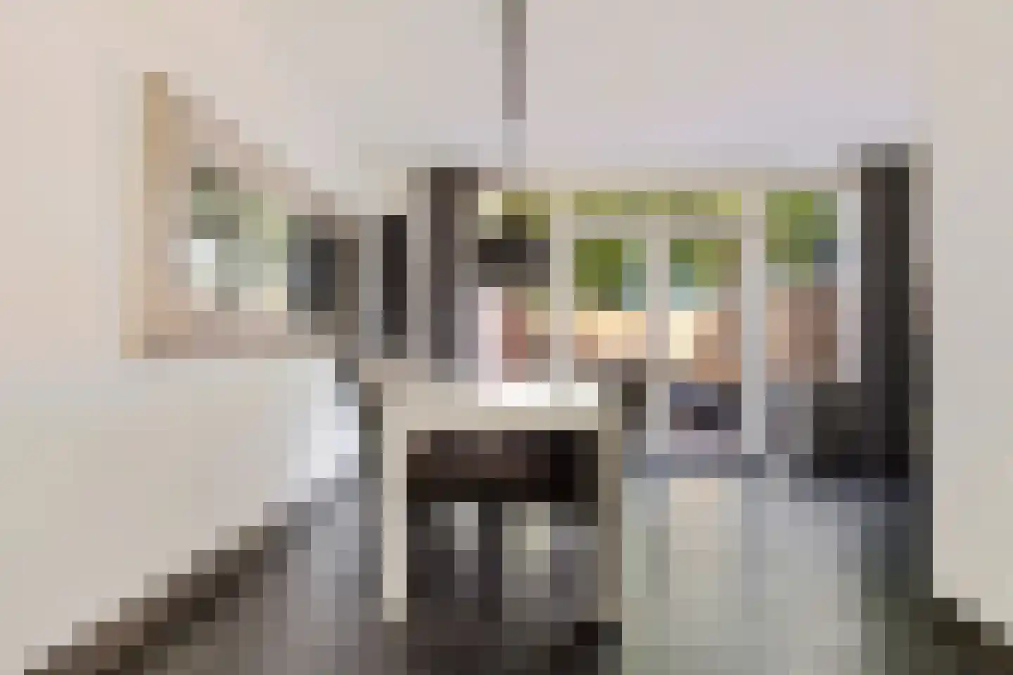 Paganinihof 14 Tilburg thumbnail 18