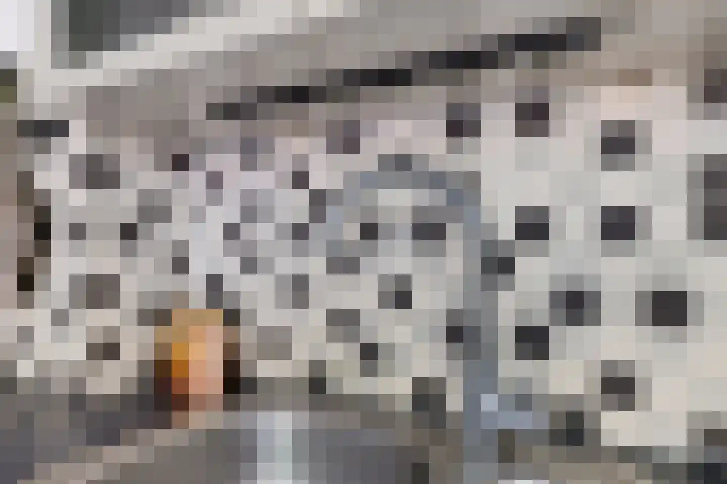 Paganinihof 14 Tilburg thumbnail 25