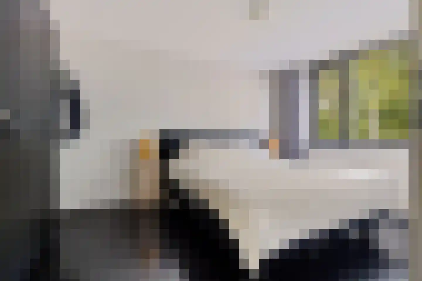 Paganinihof 14 Tilburg thumbnail 27