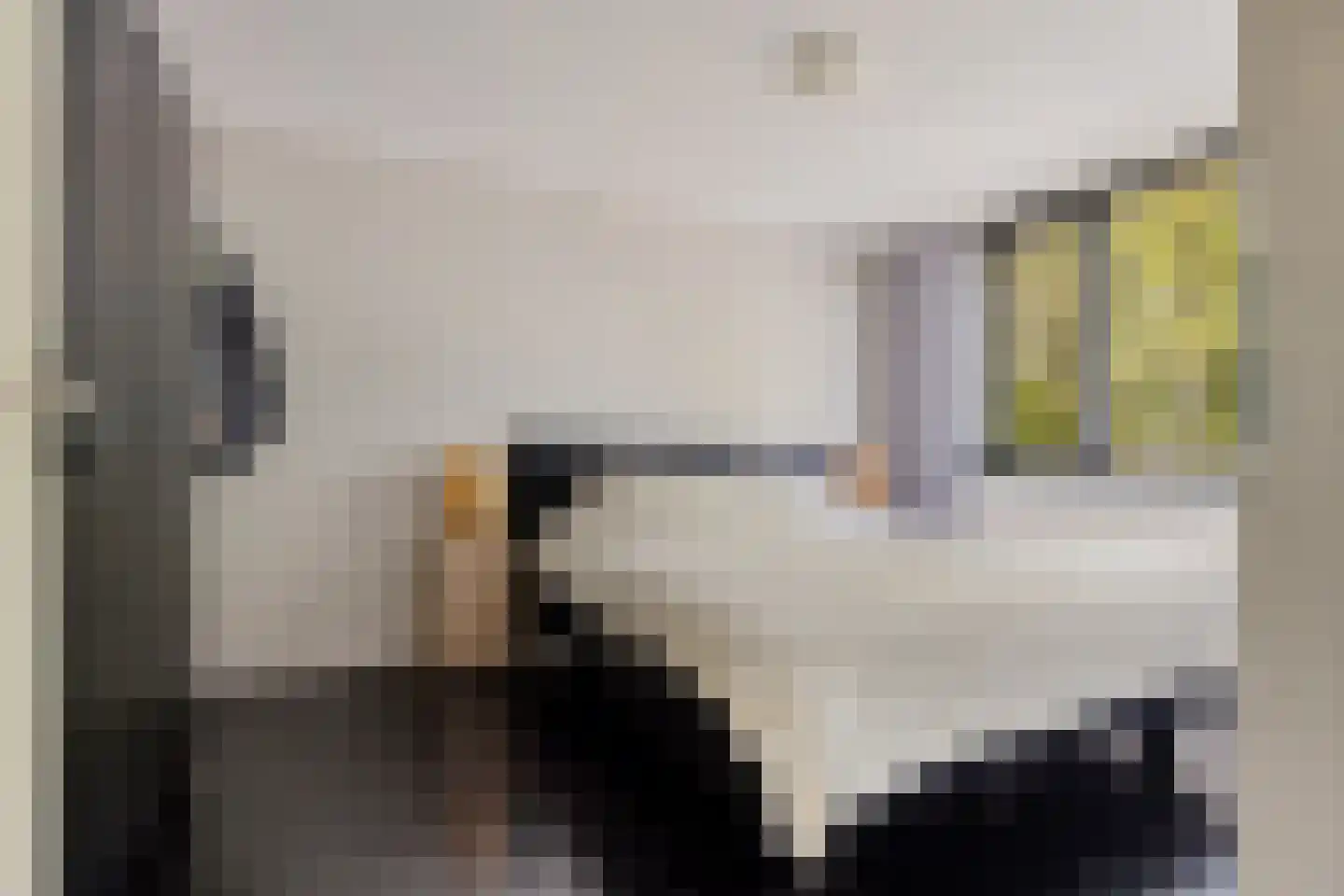 Paganinihof 14 Tilburg thumbnail 28