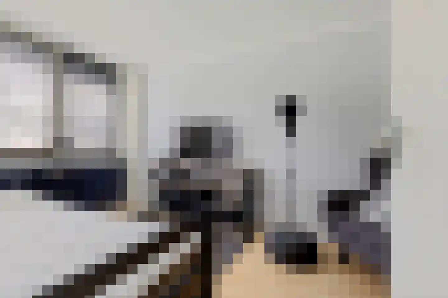Paganinihof 14 Tilburg thumbnail 30