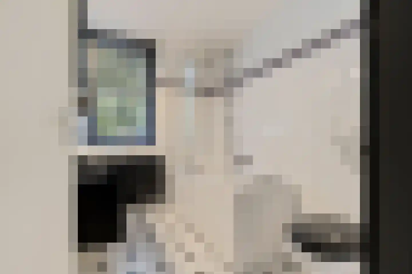 Paganinihof 14 Tilburg thumbnail 33