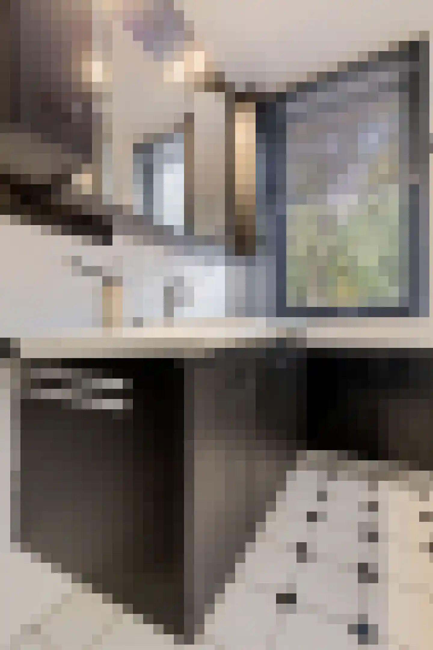Paganinihof 14 Tilburg thumbnail 34