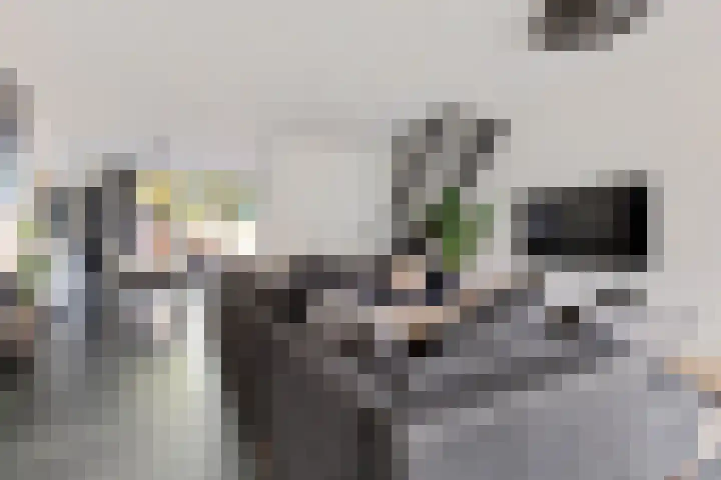 Paganinihof 14 Tilburg thumbnail 4