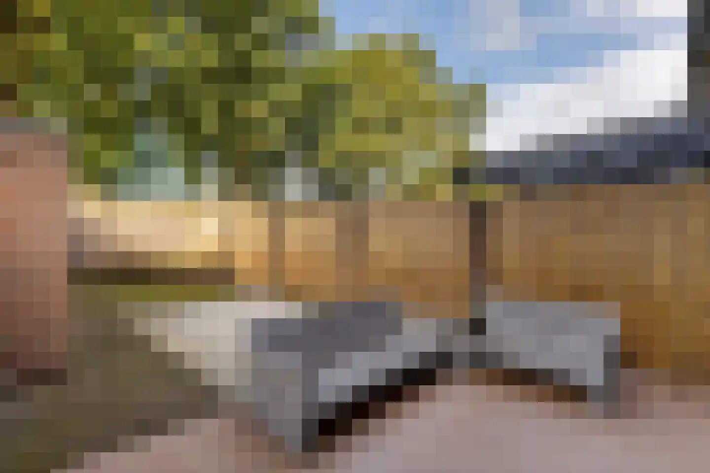 Paganinihof 14 Tilburg thumbnail 41