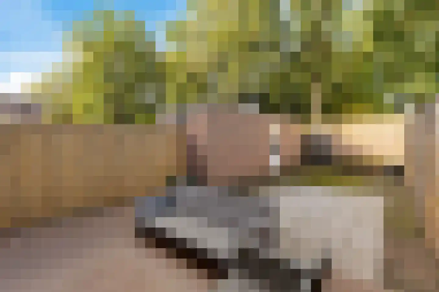 Paganinihof 14 Tilburg thumbnail 42