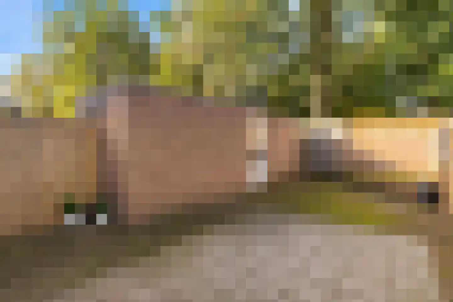 Paganinihof 14 Tilburg thumbnail 43