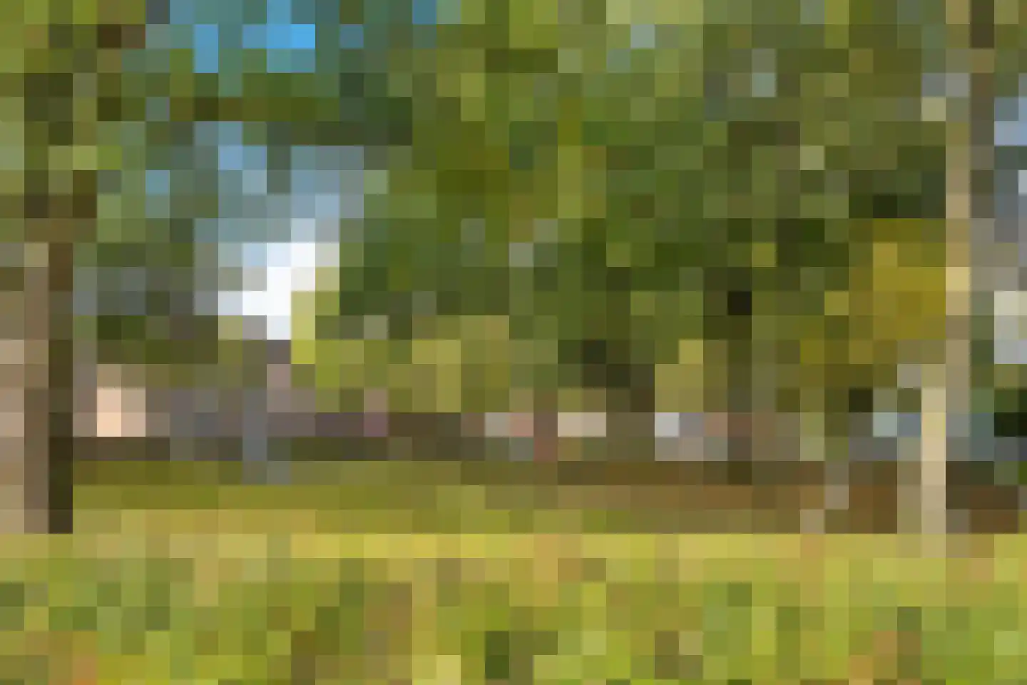 Paganinihof 14 Tilburg thumbnail 45