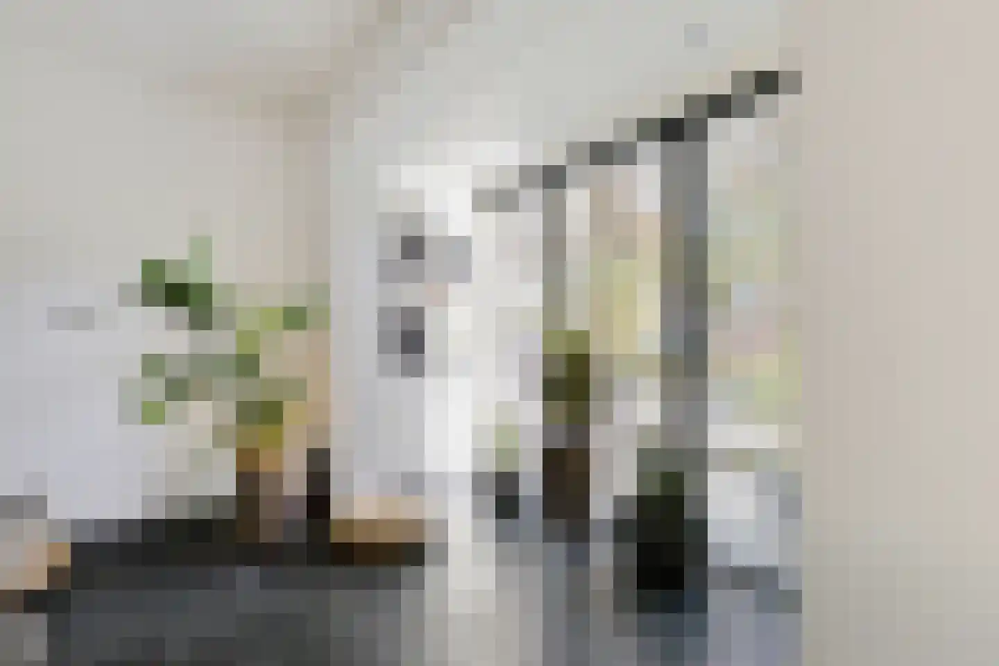 Paganinihof 14 Tilburg thumbnail 6