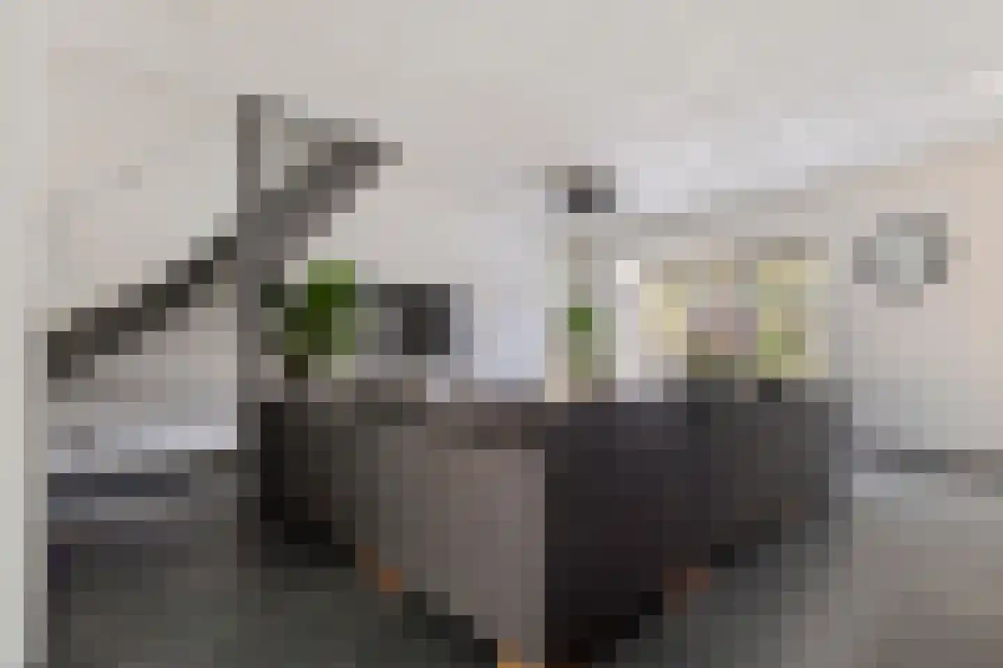 Paganinihof 14 Tilburg thumbnail 8