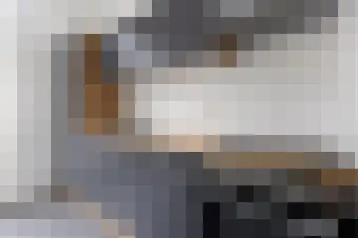 Paganinihof 28 Tilburg thumbnail 18