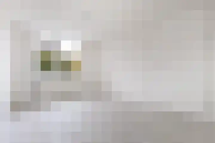 Paganinihof 28 Tilburg thumbnail 22