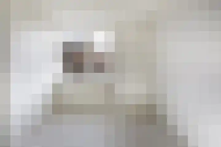 Paganinihof 28 Tilburg thumbnail 24