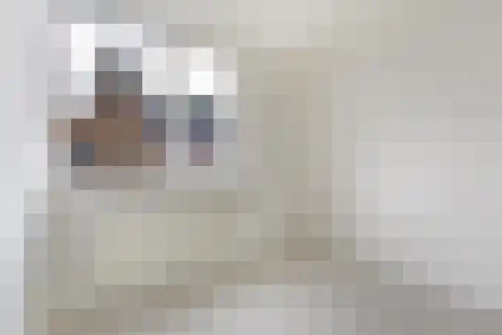 Paganinihof 28 Tilburg thumbnail 25