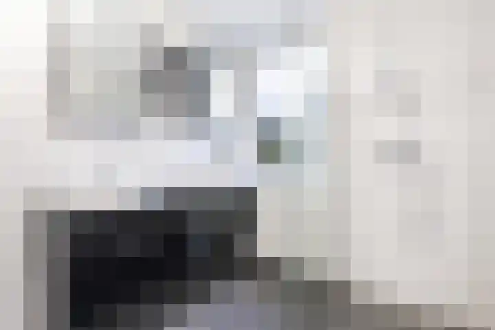 Paganinihof 28 Tilburg thumbnail 31
