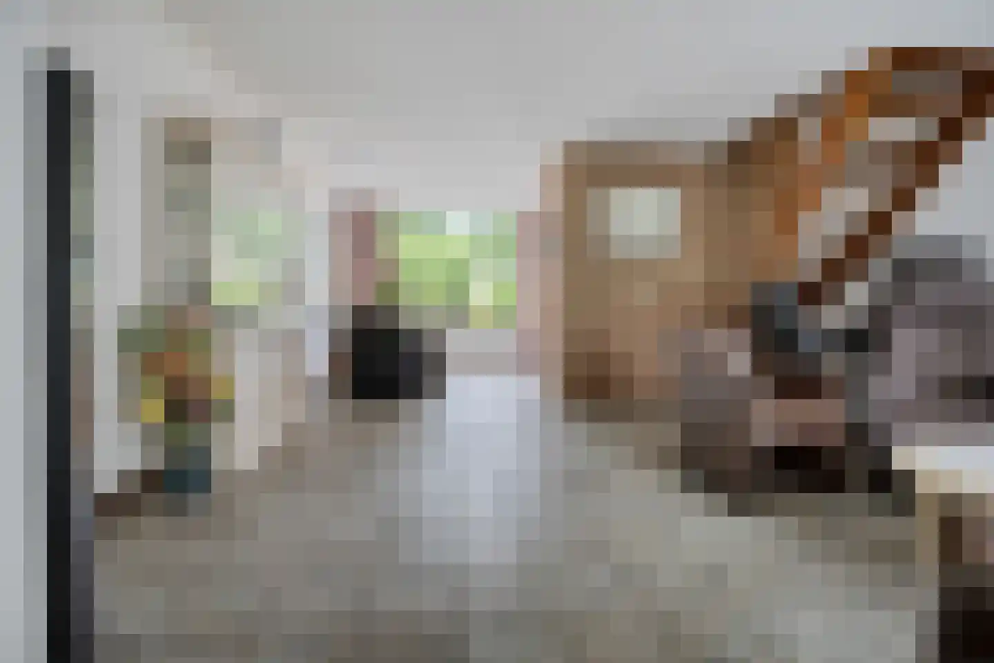 Paganinihof 8 Tilburg thumbnail 12