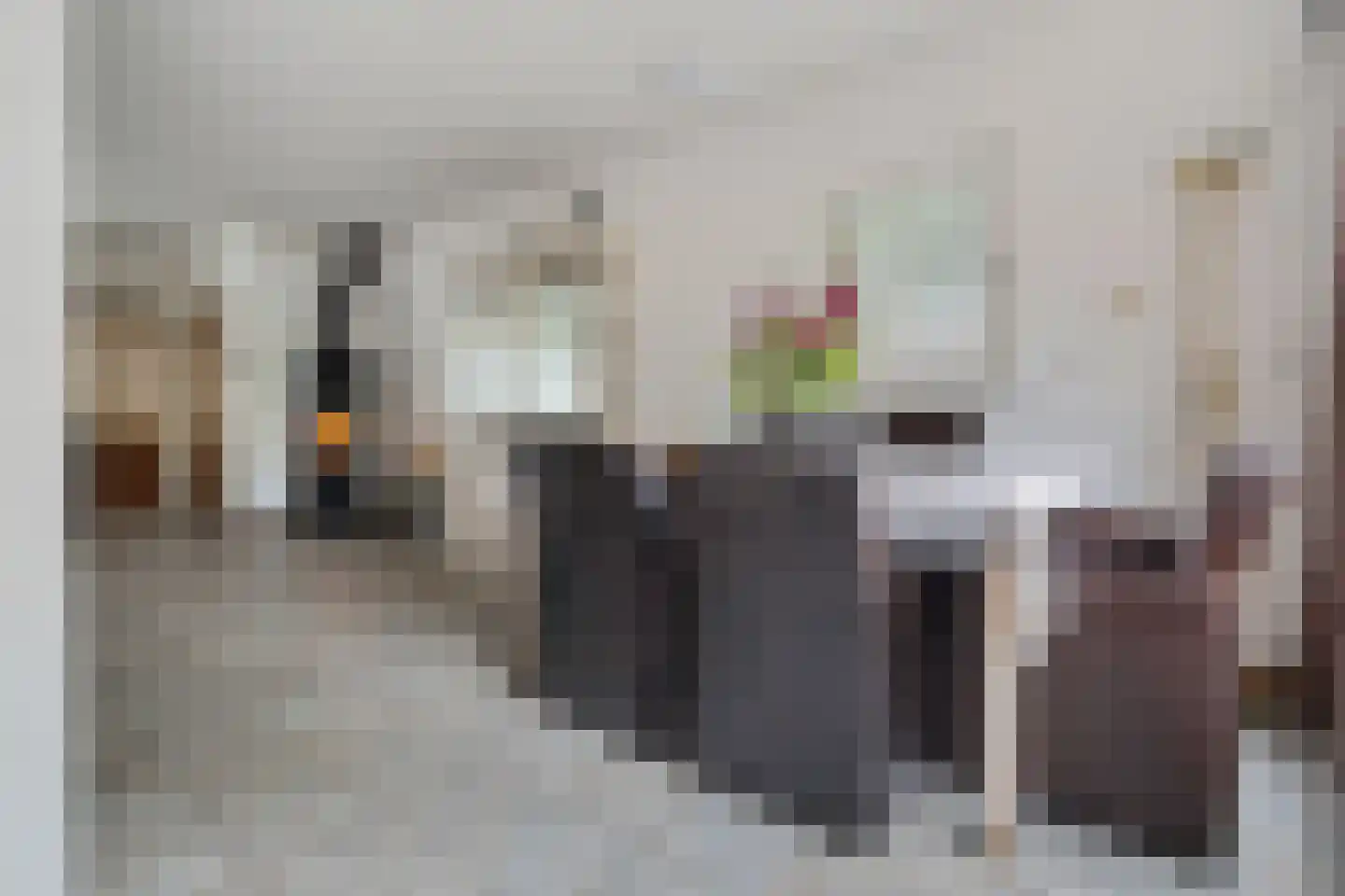 Paganinihof 8 Tilburg thumbnail 17