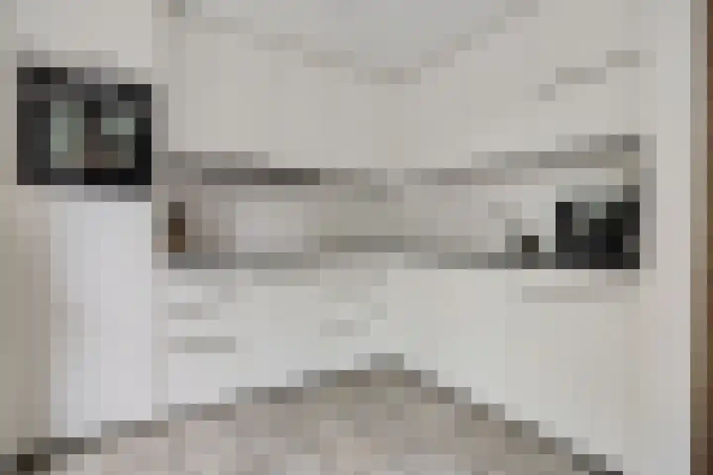 Paganinihof 8 Tilburg thumbnail 19