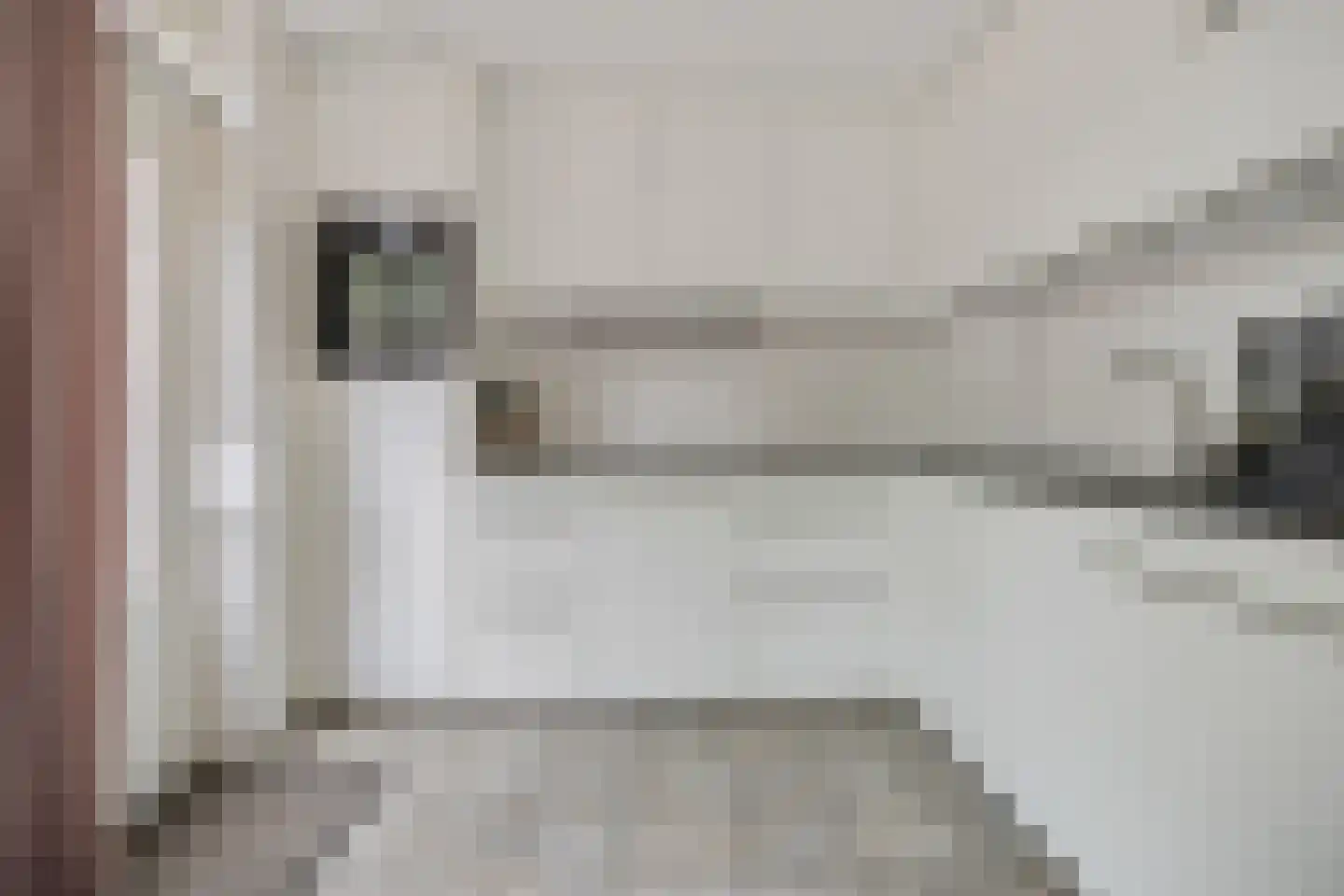 Paganinihof 8 Tilburg thumbnail 20