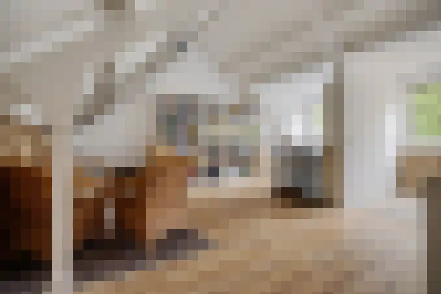 Paganinihof 8 Tilburg thumbnail 35