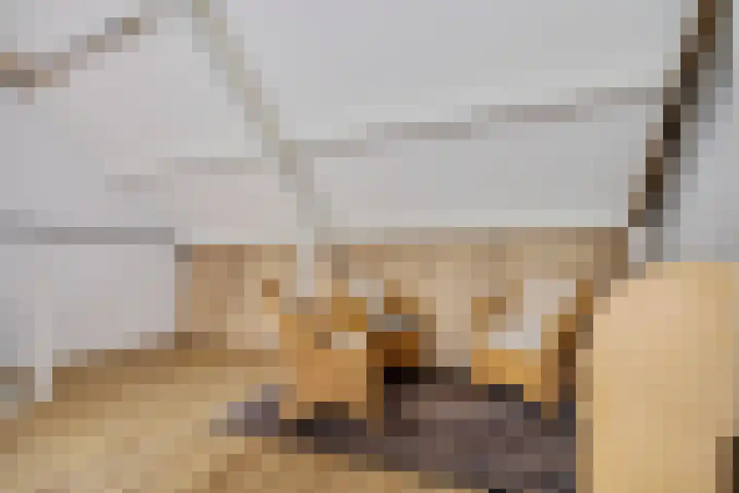 Paganinihof 8 Tilburg thumbnail 37