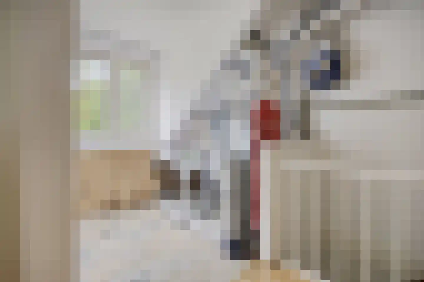 Paganinihof 8 Tilburg thumbnail 39