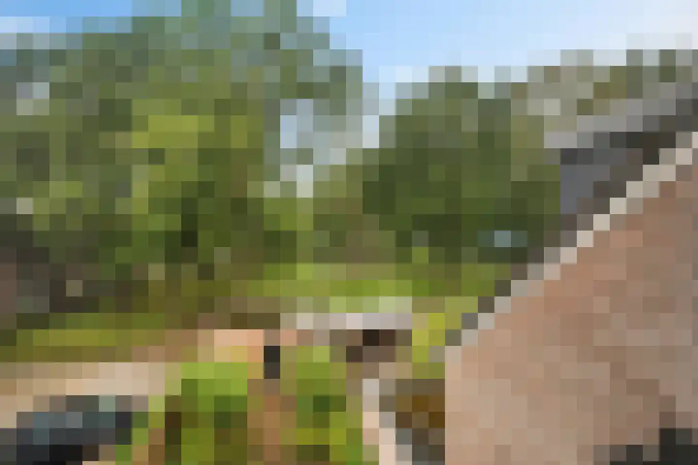 Paganinihof 8 Tilburg thumbnail 40