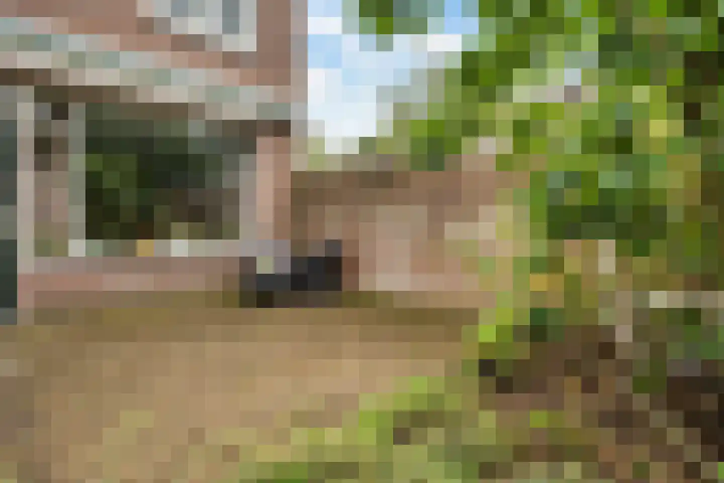 Paganinihof 8 Tilburg thumbnail 44