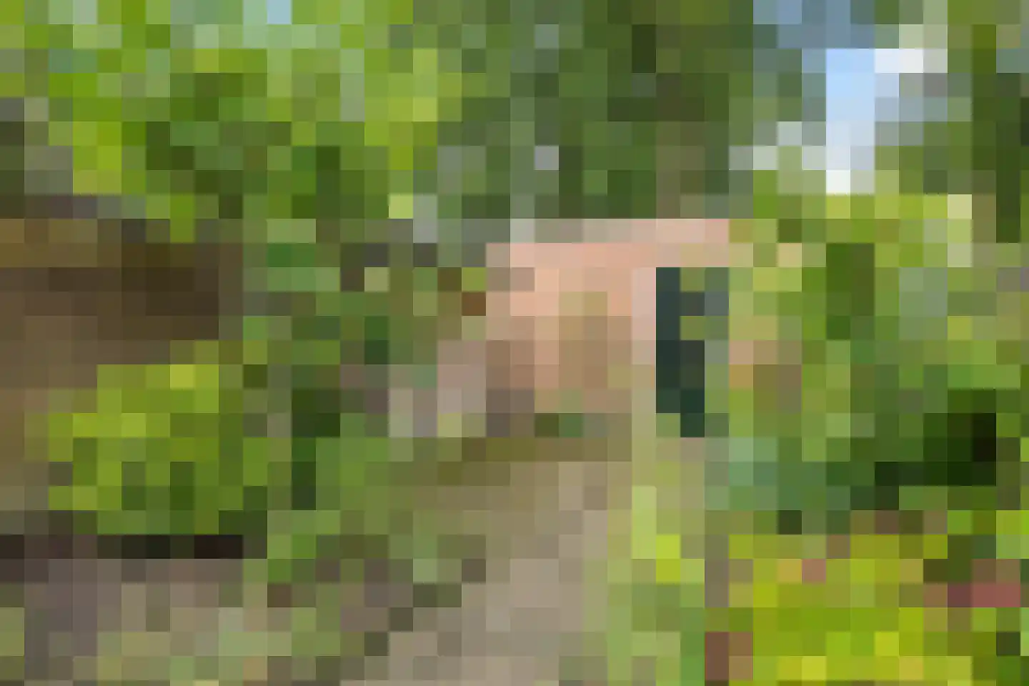 Paganinihof 8 Tilburg thumbnail 45