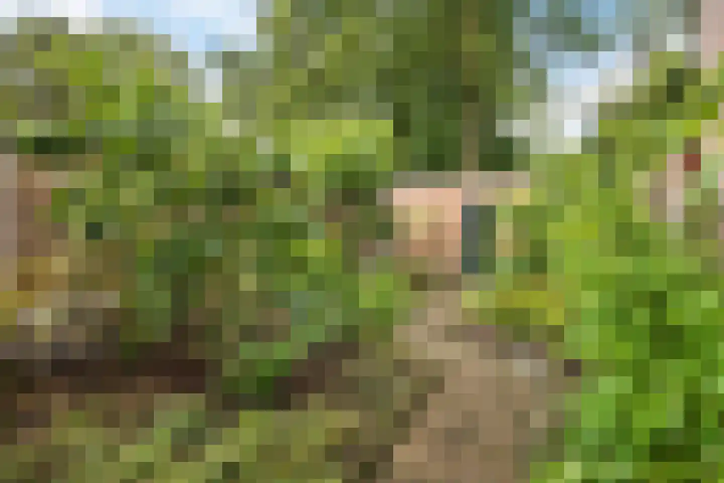 Paganinihof 8 Tilburg thumbnail 46