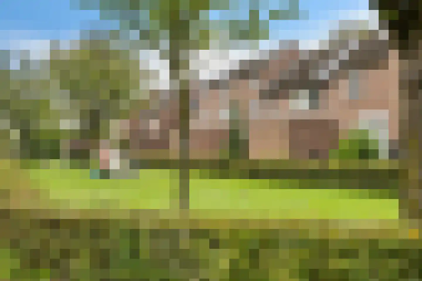 Paganinihof 8 Tilburg thumbnail 48