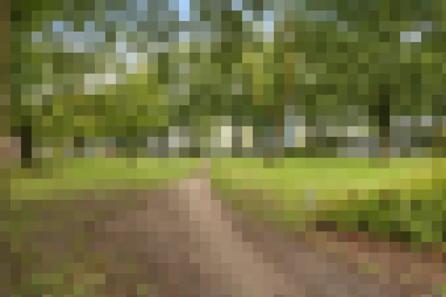 Paganinihof 8 Tilburg thumbnail 8