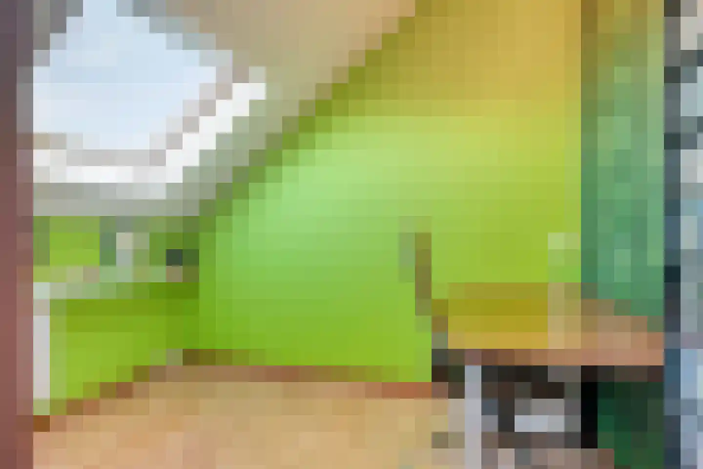 Paganiniplantsoen 47 Nieuw-Vennep thumbnail 27
