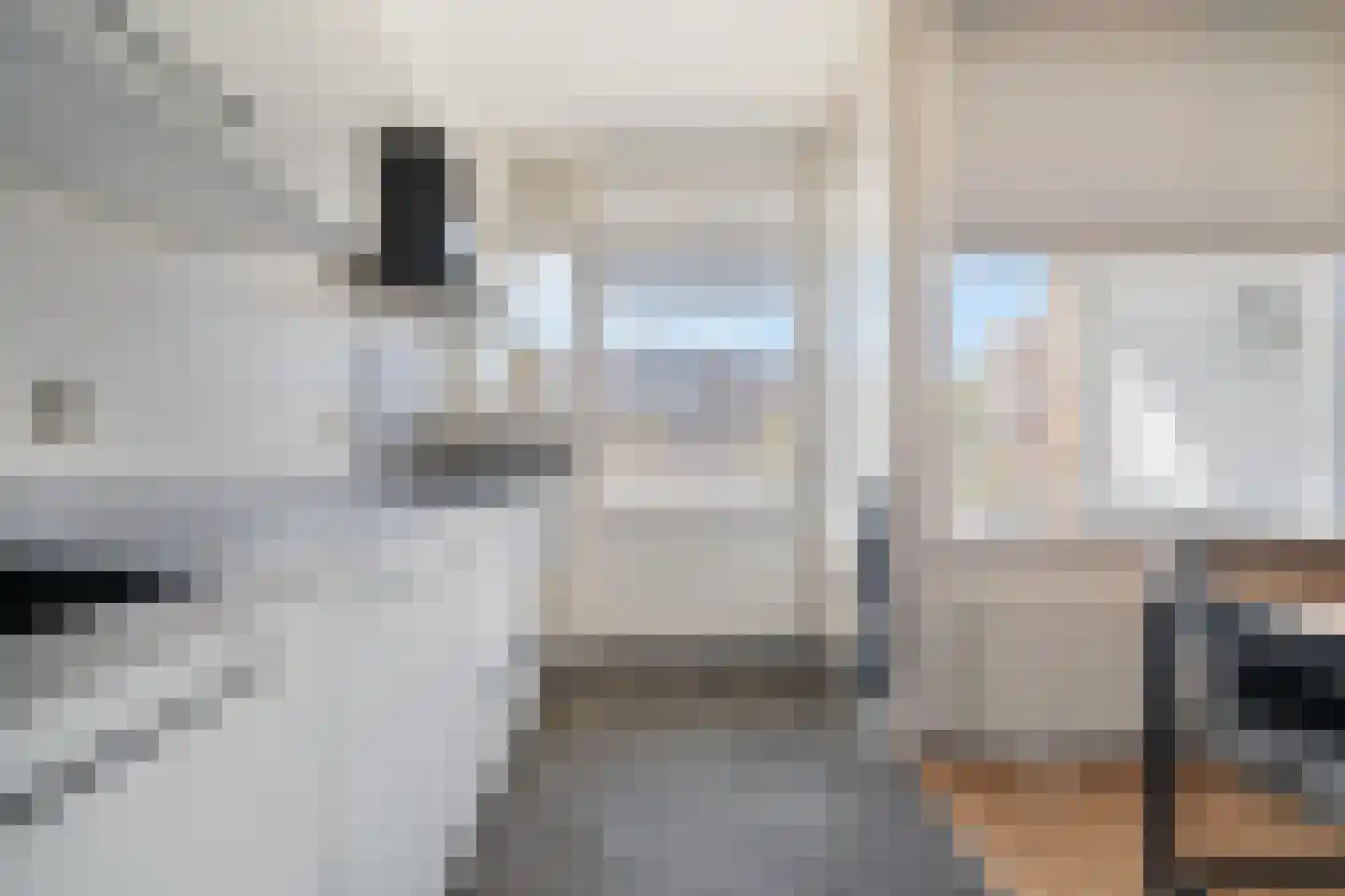 Paganinistraat 10 Den Haag thumbnail 11