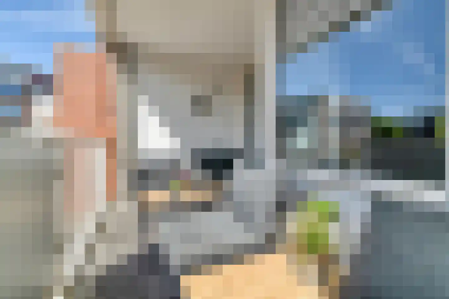 Paganinistraat 10 Den Haag thumbnail 15