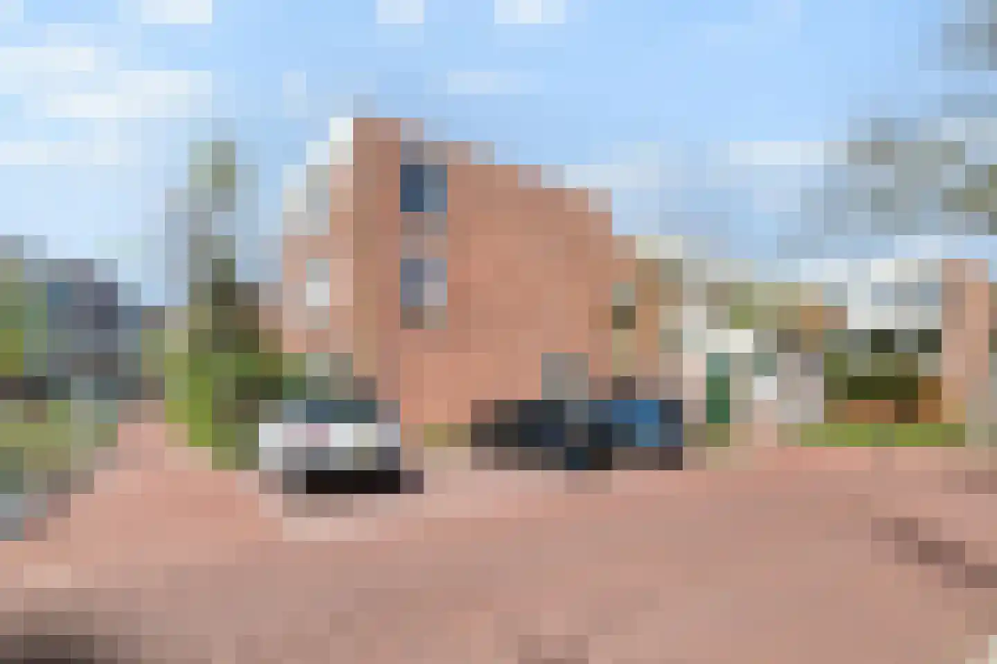Paganinistraat 10 Den Haag thumbnail 26