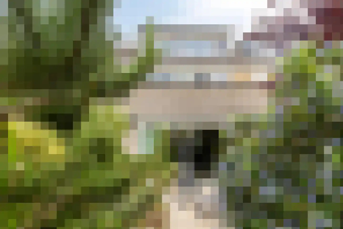 Paganinistraat 111 Capelle aan den IJssel thumbnail 11