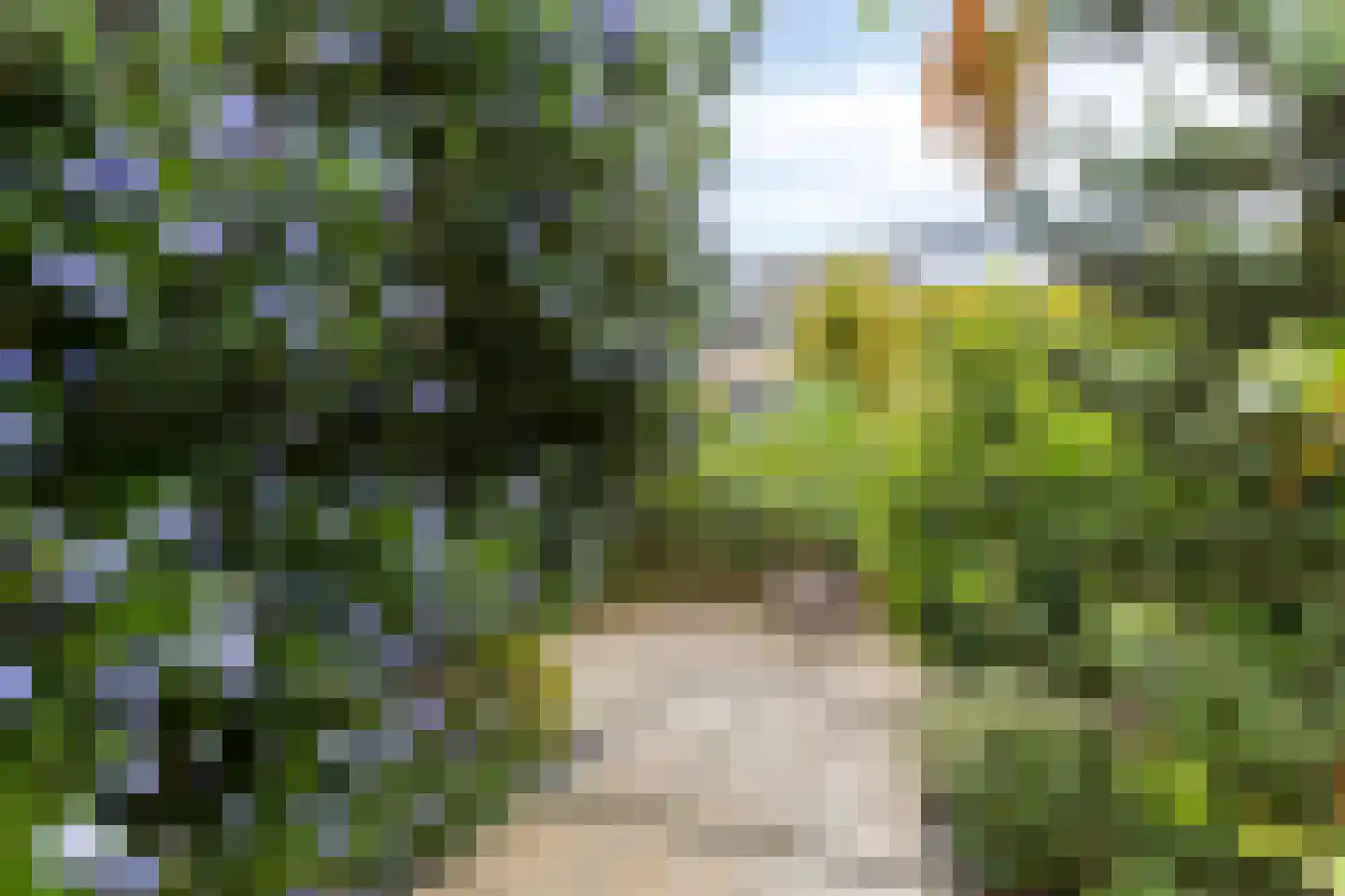 Paganinistraat 111 Capelle aan den IJssel thumbnail 12