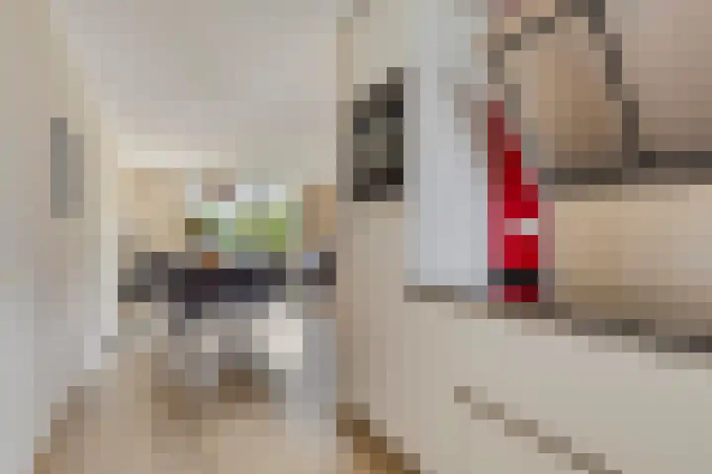 Paganinistraat 111 Capelle aan den IJssel thumbnail 16