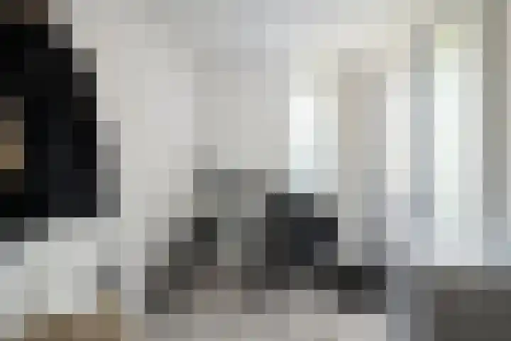 Paganinistraat 111 Capelle aan den IJssel thumbnail 16